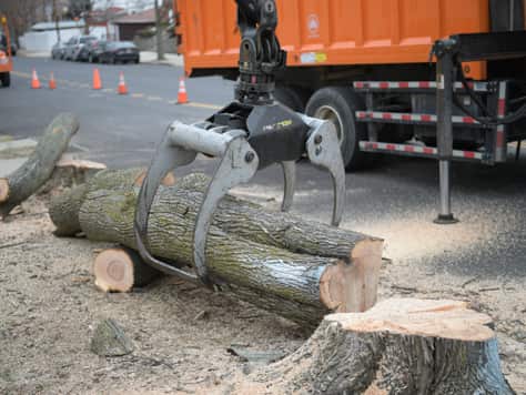 Brush Chipping and Hauling