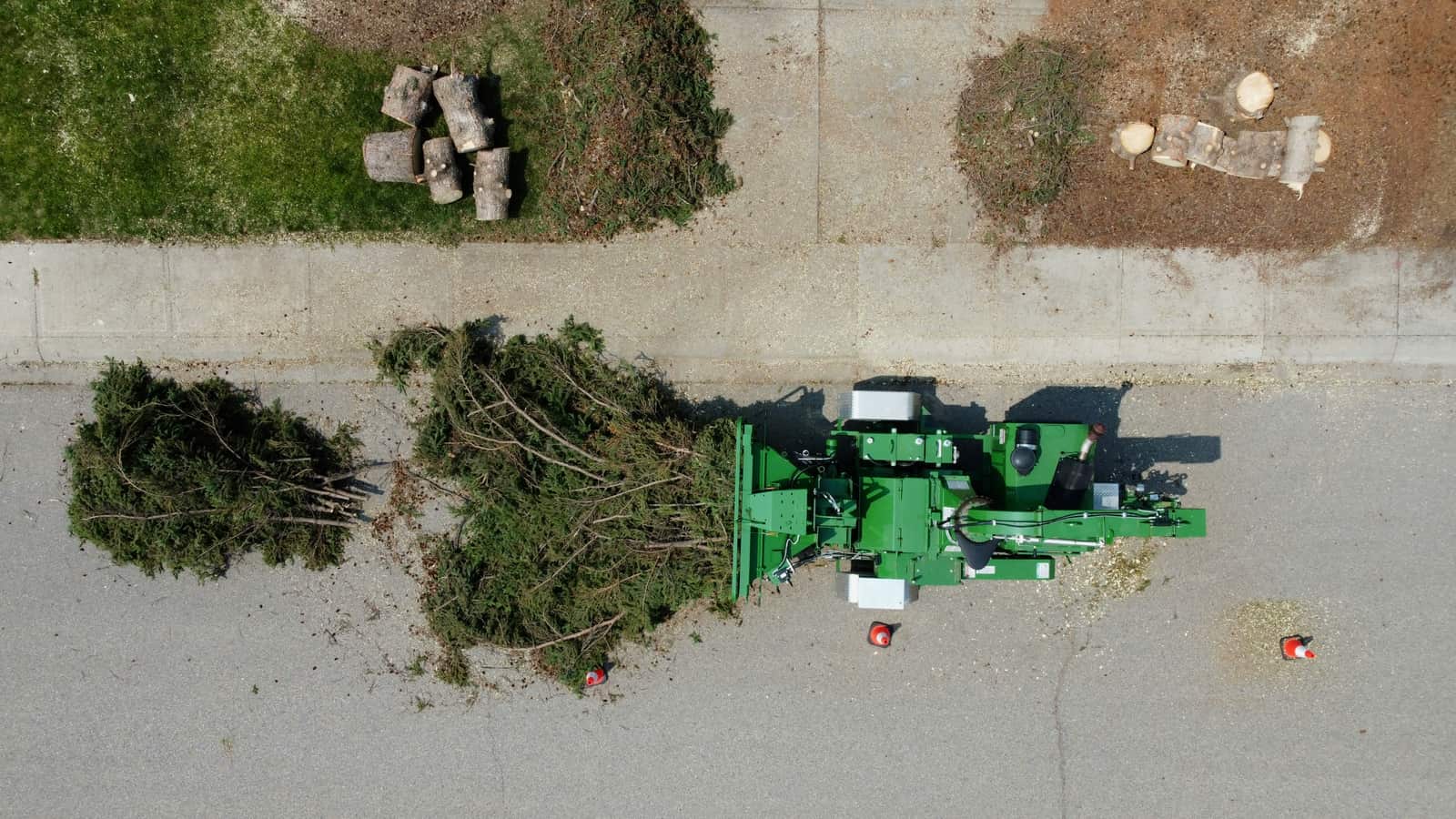 Cedar and Lot Clearing