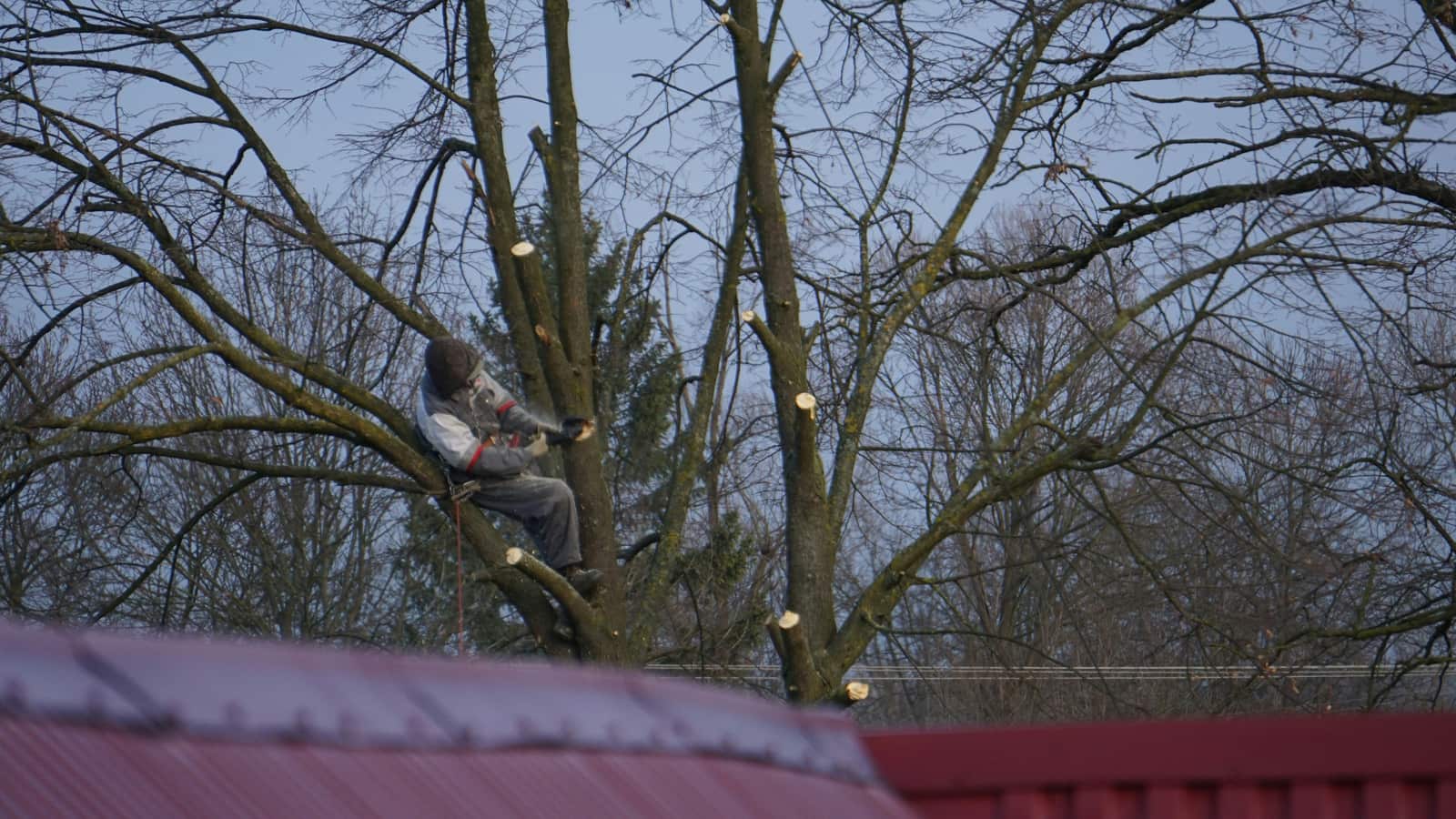 Roof and Structure Clearance