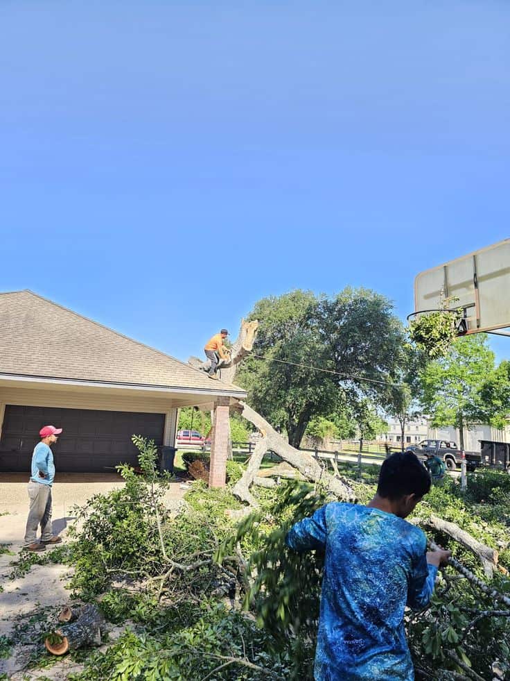 John and Maribelle Junier, founders of J J Tree Services